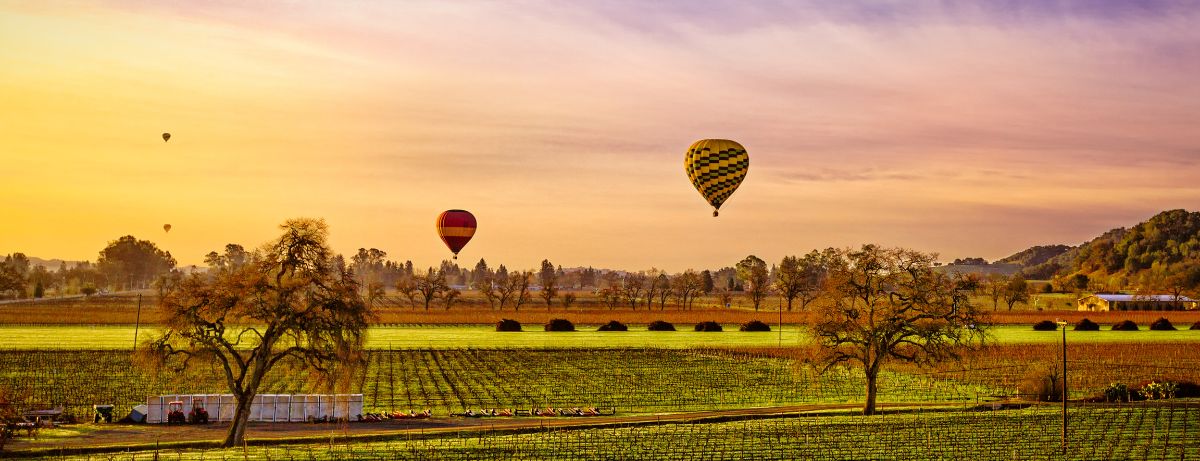 hot air balloons